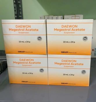 Thuốc Daewon Megestrol Acetate giá bao nhiêu?